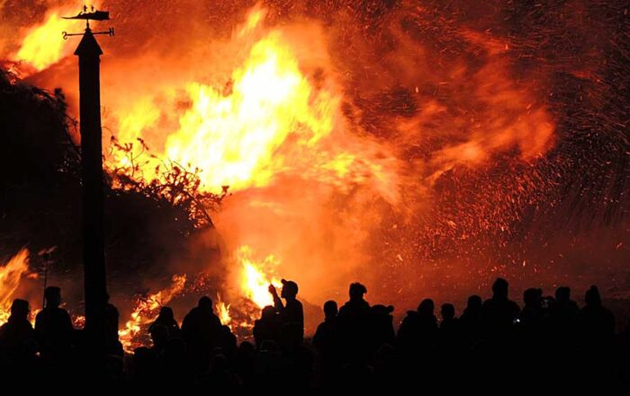 wildfire suppression services, wildfire firefighters