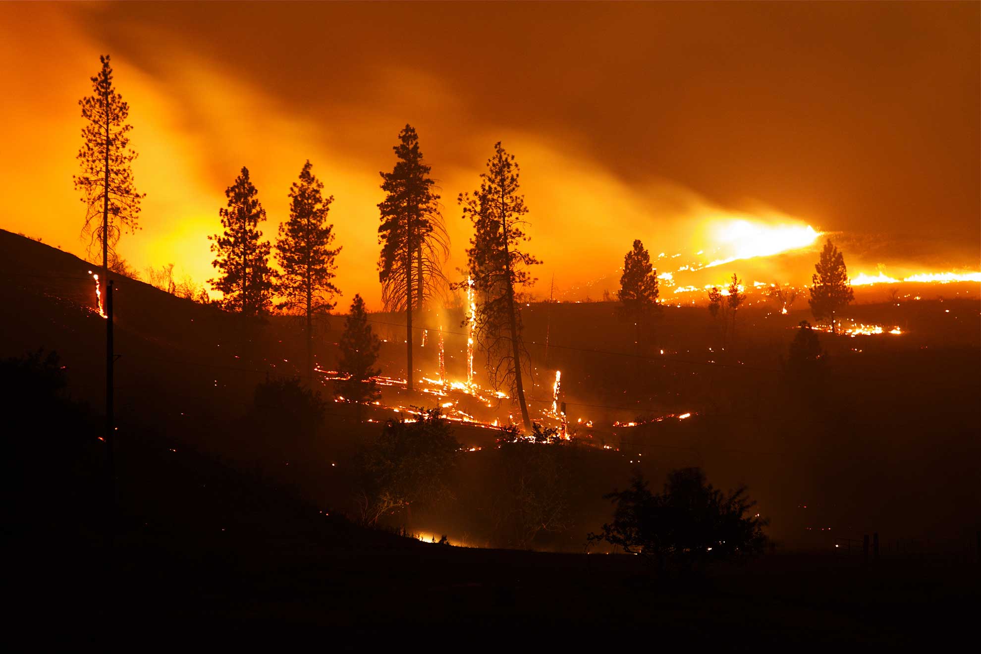 Everything You Need to Know About Utility Wildfire Protection