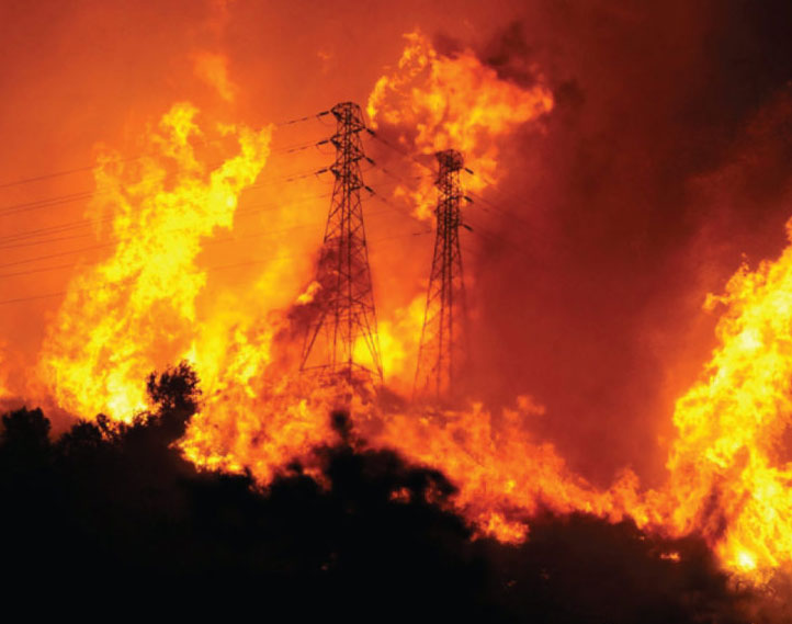 wildland fire services