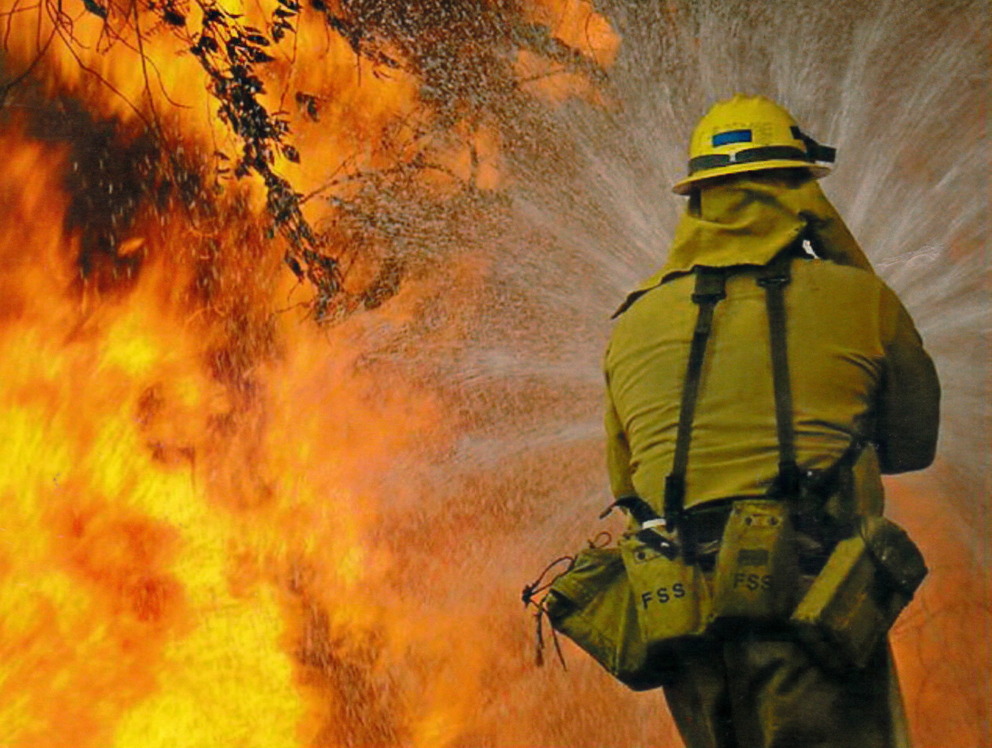 wildfire firefighter