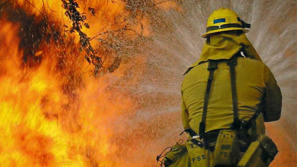 When And Why Businesses Turn To Wildland Fire Fighters For Hire